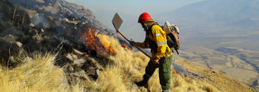 Curso Virtual: Incendios Forestales | Academia Nacional De Bomberos