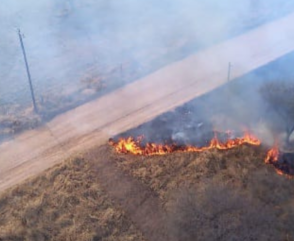 Incendios Forestales: Origen y prevención